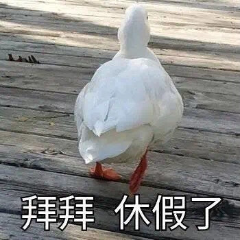 杂七杂八表情包