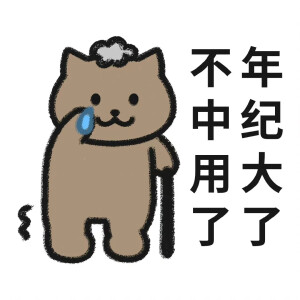 一只猫