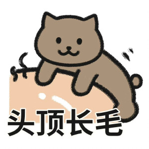 一只猫