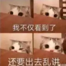 表情包
猫