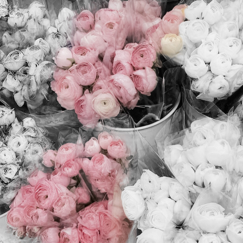 我不知道怎么停止想念