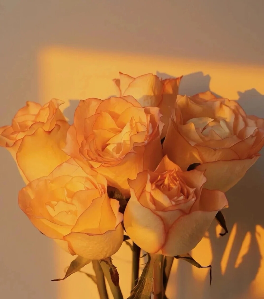 背景图‖“等待放假的日子里，很多好事发生吧！”