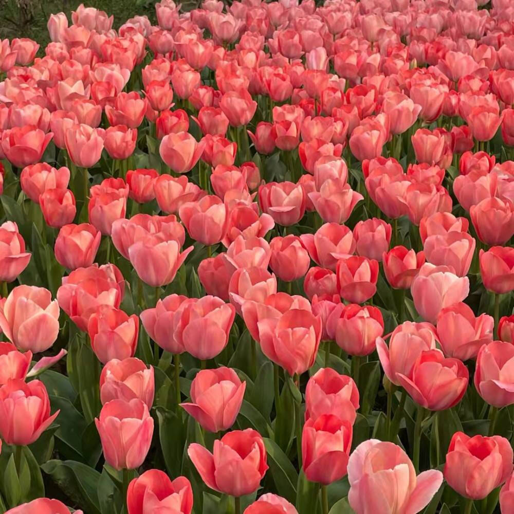 背景图‖“等待放假的日子里，很多好事发生吧！”