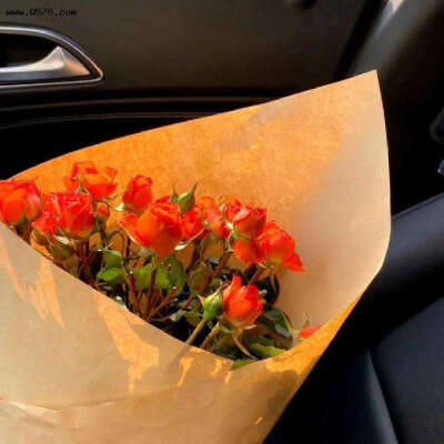 背景图‖“等待放假的日子里，很多好事发生吧！”