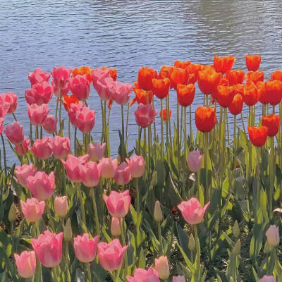 背景图‖“等待放假的日子里，很多好事发生吧！”