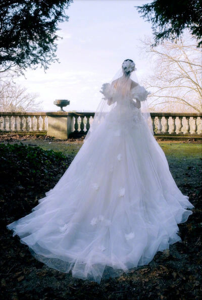 Elie Saab Bridal S/S 2023 "Ethereal Radiance"
摄影: Alexandra Sophie
[weibo@小象王国]