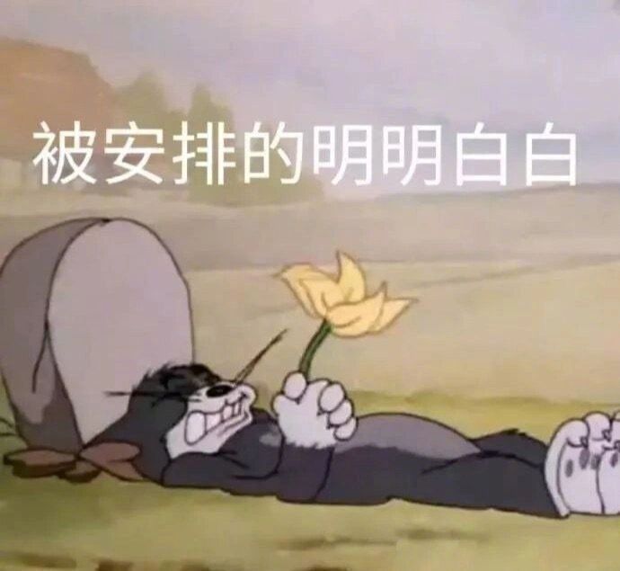 打工人表情包，明天又要上班了