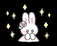 星星眼兔兔