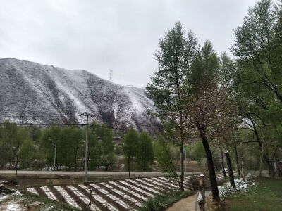 下雪啦 今天会更。