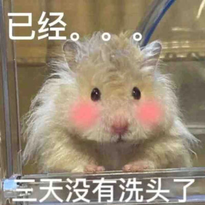 为什么不回消息？是不是出门没带手机？