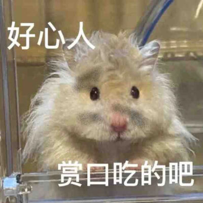 为什么不回消息？是不是出门没带手机？