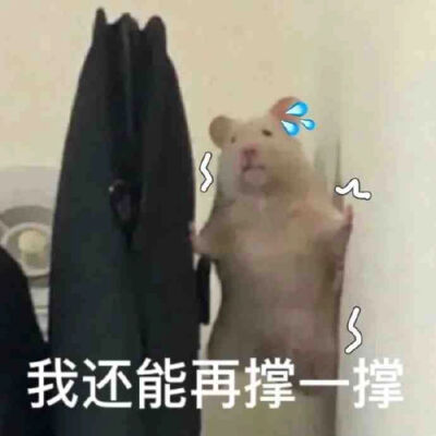 为什么不回消息？是不是出门没带手机？