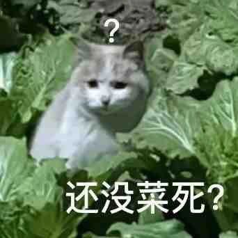 为什么不回消息？是不是出门没带手机？