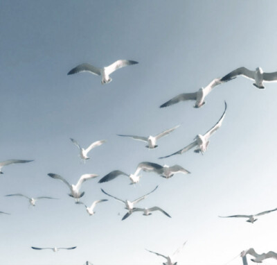 
Feelin'like Wanyoung