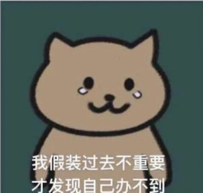 周杰伦歌词表情包