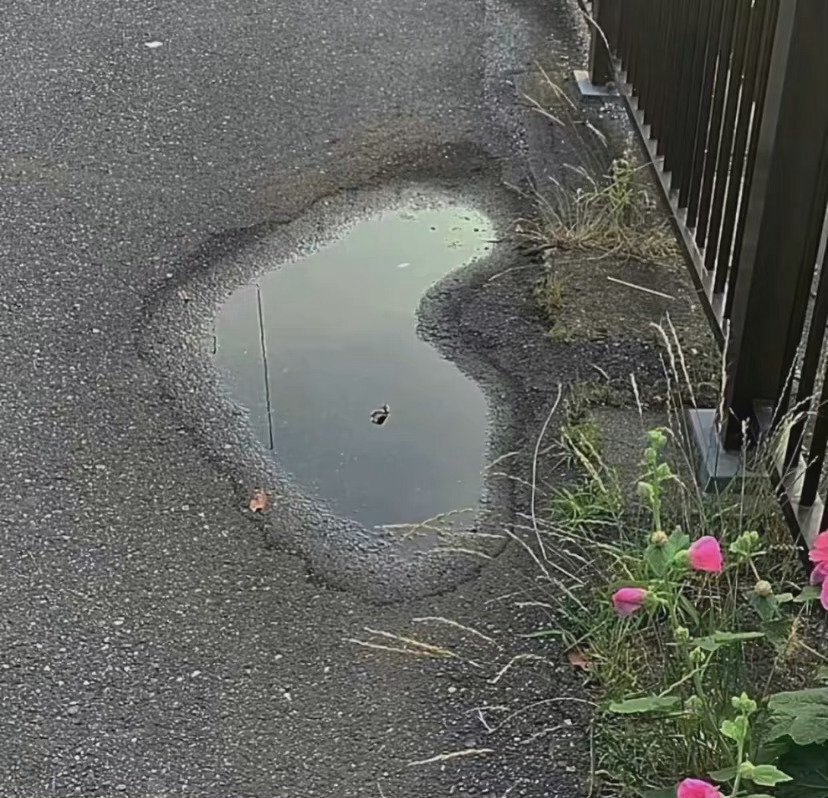 把自己的奇怪归为不普通