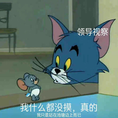 猫和老鼠打工人表情包