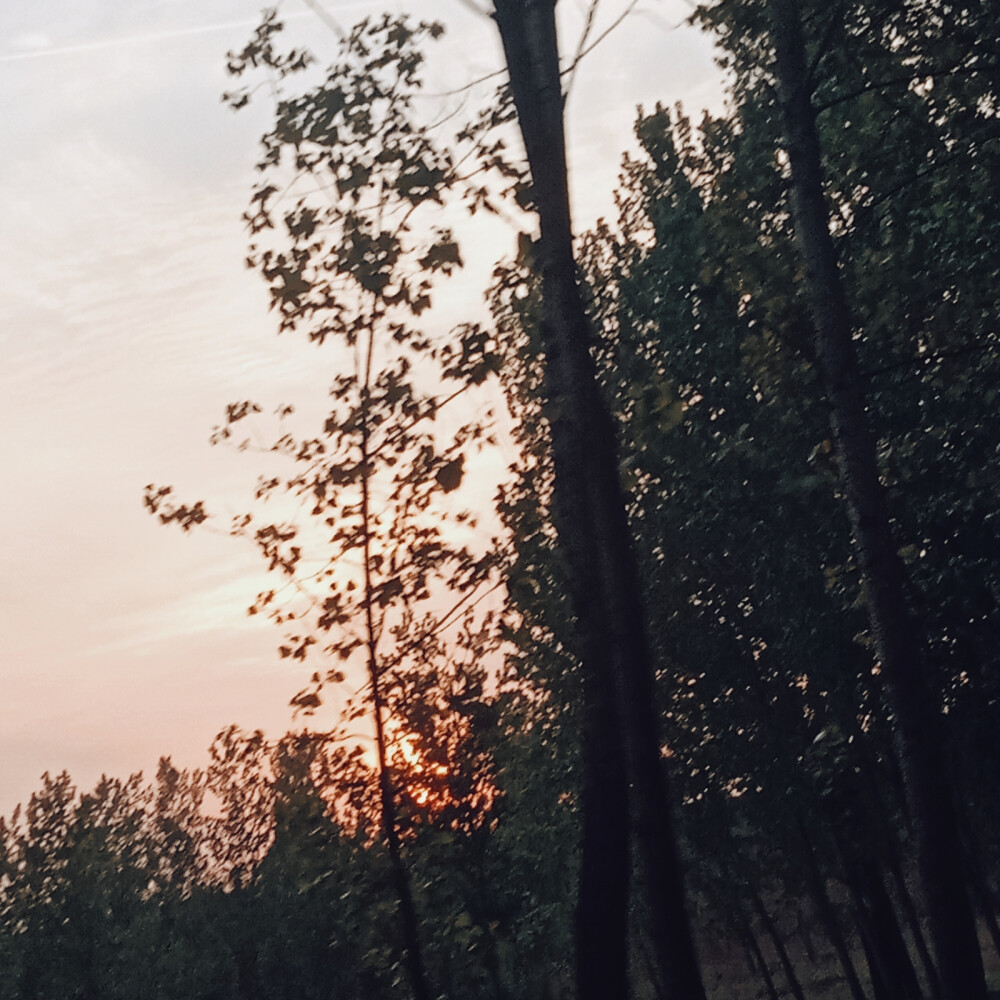 盛夏日落迟，灯火未夜匆匆明 ——《言语如苏打般涌现》
二转表明困姒