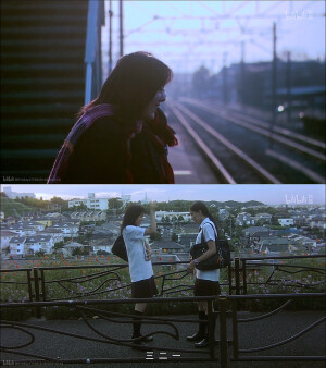 影视：电视剧/电影