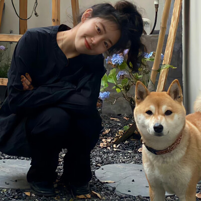 情头