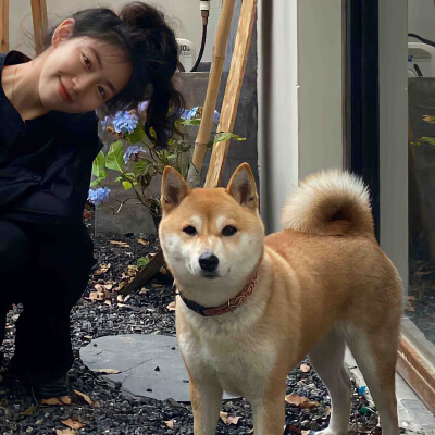 情头