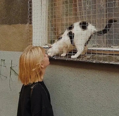 女头 猫咪