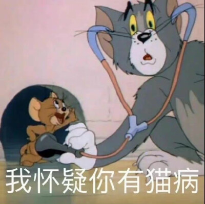 猫和老鼠