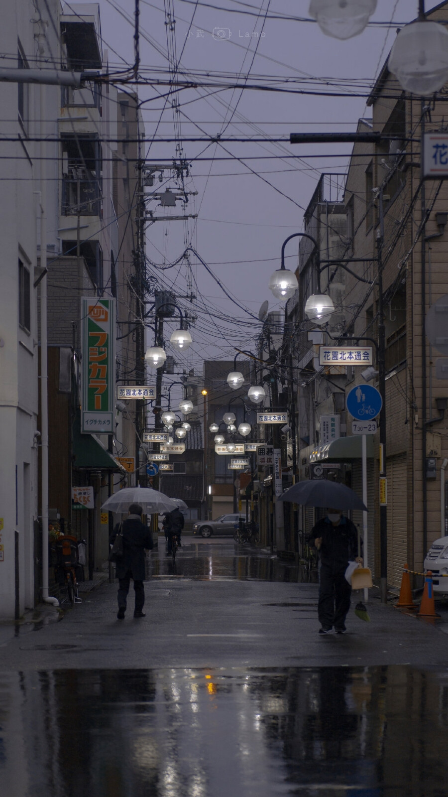 朝花夕存