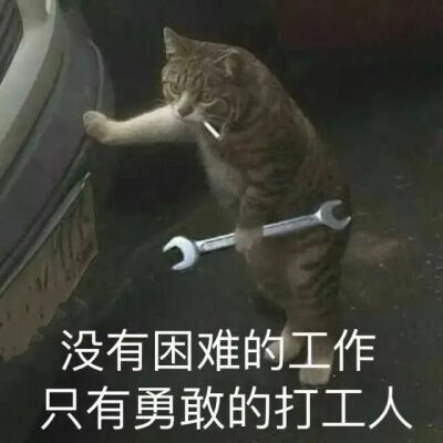 打工人表情包