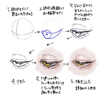 眼睛素材收集