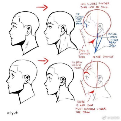 眼睛素材收集