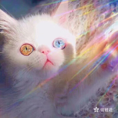 眼睛素材收集