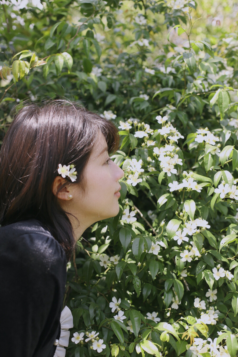 初夏/绿/山野