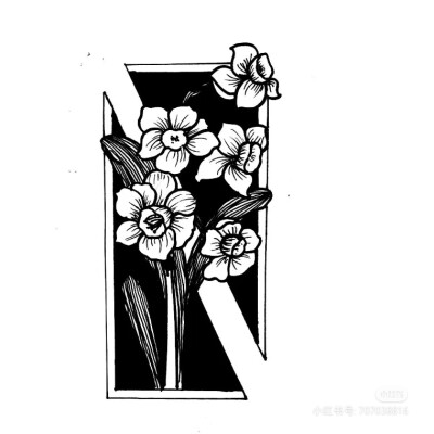 黑白画