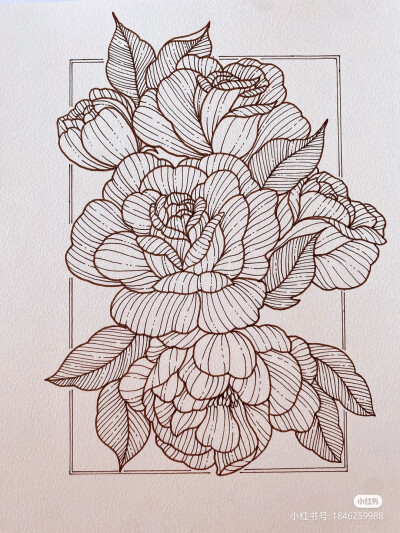黑白画