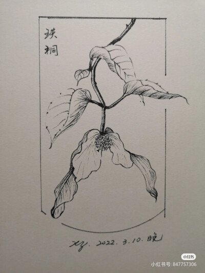 黑白画