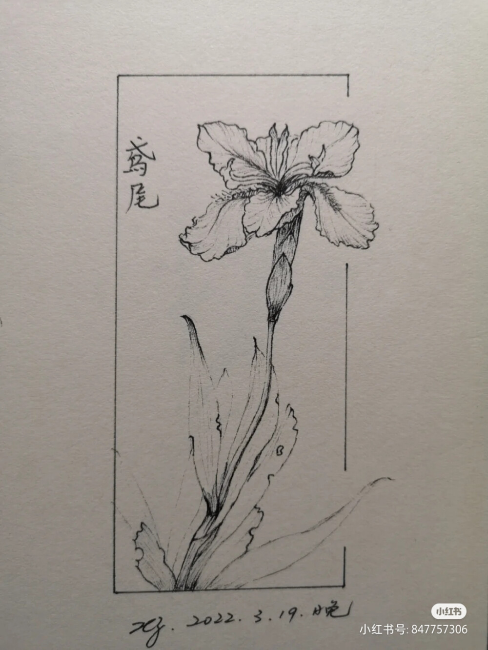黑白画