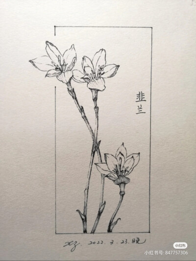 黑白画