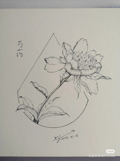 黑白画