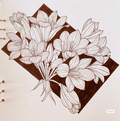 黑白画