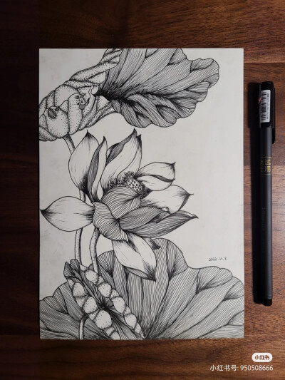黑白画