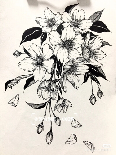 黑白画