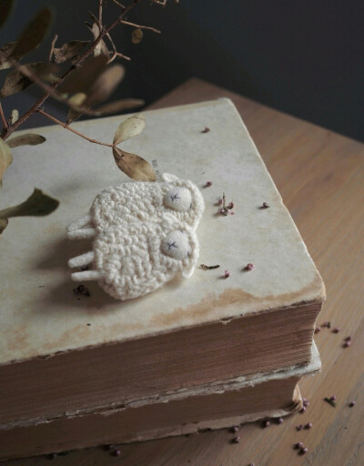 羊毛毡胸针，手艺人 Sveta Riabtseva