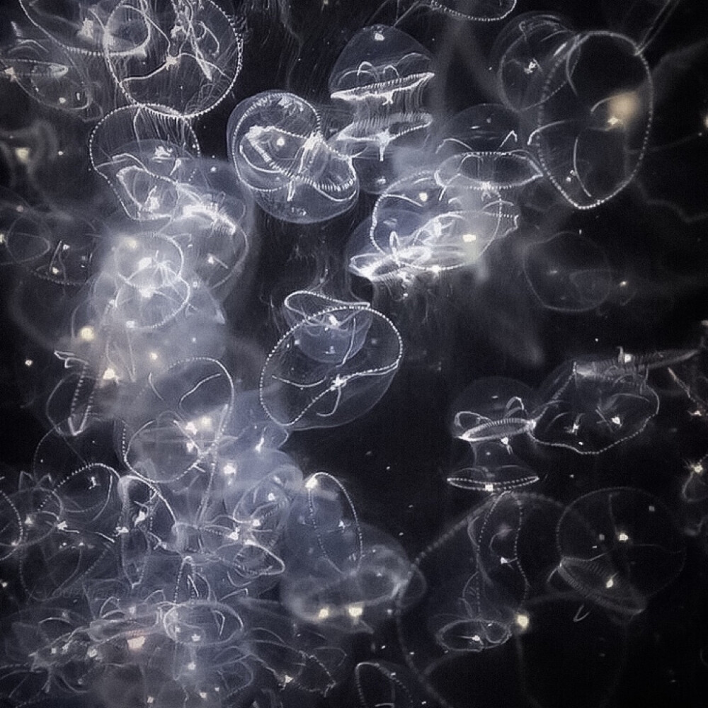 
雪允头像
：還不如做自己的宇宙