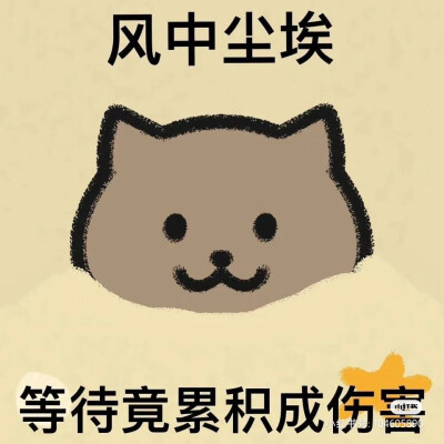 最近挖出的有周董歌词的猫猫表情包
原作者：大熊猫本猫
试着发一下 要的人多久继续更吧
（侵删