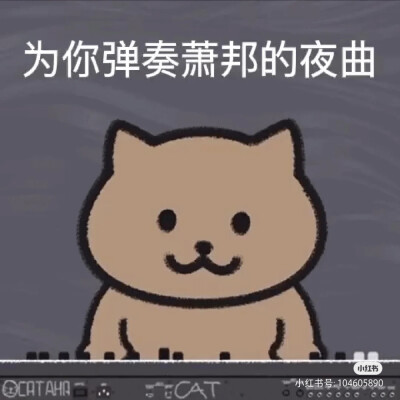 最近挖出的有周董歌词的猫猫表情包
原作者：大熊猫本猫
试着发一下 要的人多久继续更吧
（侵删