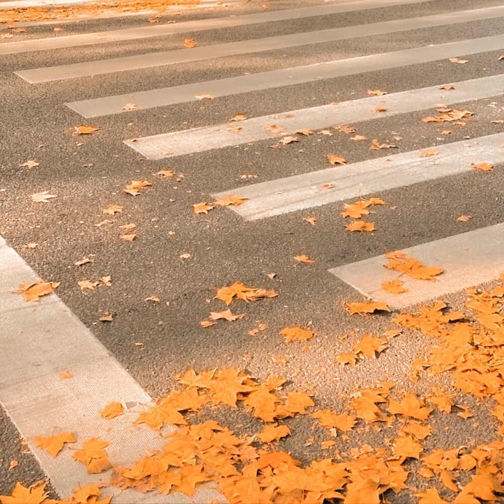 马嘉祺
“我一生的春与秋，从此都覆水难收”