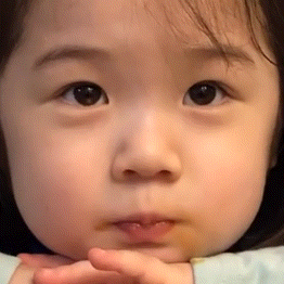 摆烂的一天开始了