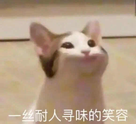 可爱猫猫