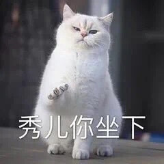 沙雕猫猫（侵删）